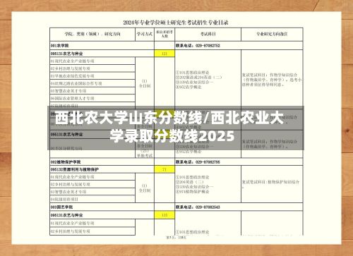 西北农大学山东分数线/西北农业大学录取分数线2025-第3张图片