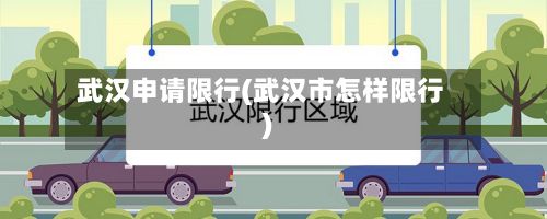 武汉申请限行(武汉市怎样限行)-第3张图片
