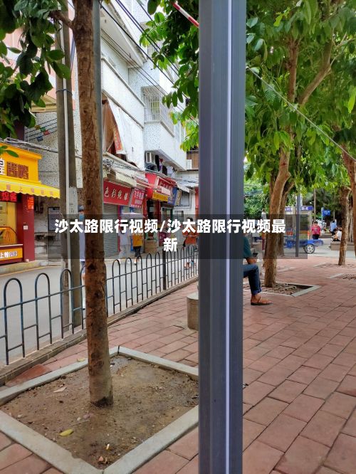 沙太路限行视频/沙太路限行视频最新-第3张图片