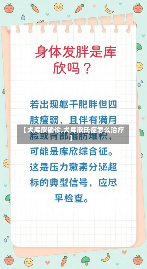 【犬库欣确诊,犬库欣氏症怎么治疗】-第3张图片