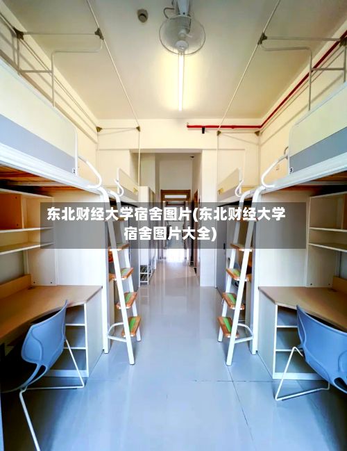 东北财经大学宿舍图片(东北财经大学宿舍图片大全)