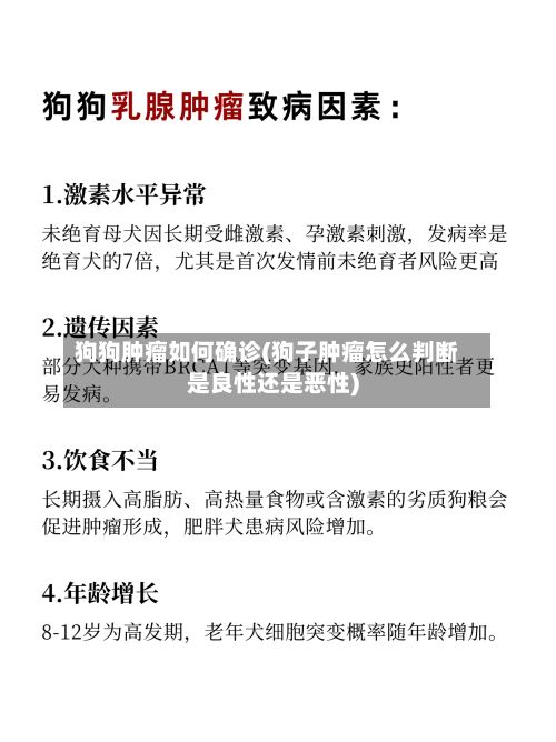 狗狗肿瘤如何确诊(狗子肿瘤怎么判断是良性还是恶性)-第2张图片