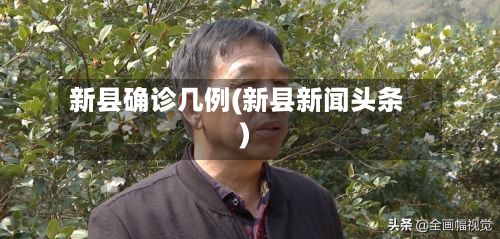 新县确诊几例(新县新闻头条)