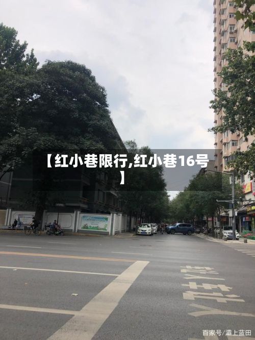 【红小巷限行,红小巷16号】-第3张图片