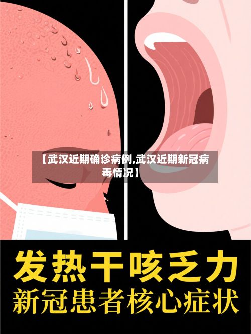 【武汉近期确诊病例,武汉近期新冠病毒情况】