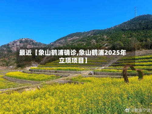 最近【象山鹤浦确诊,象山鹤浦2025年立项项目】