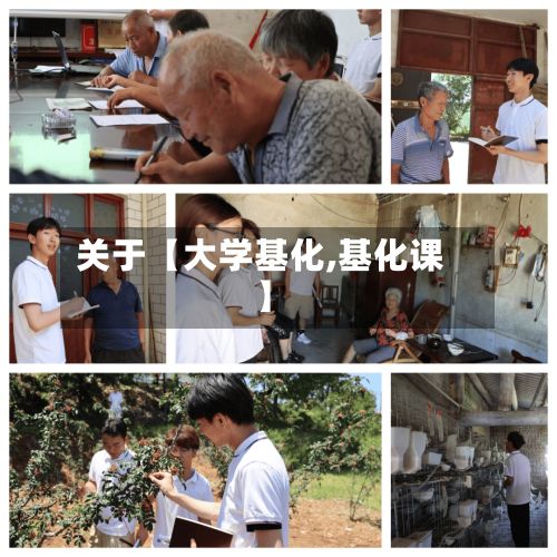 关于【大学基化,基化课】-第2张图片