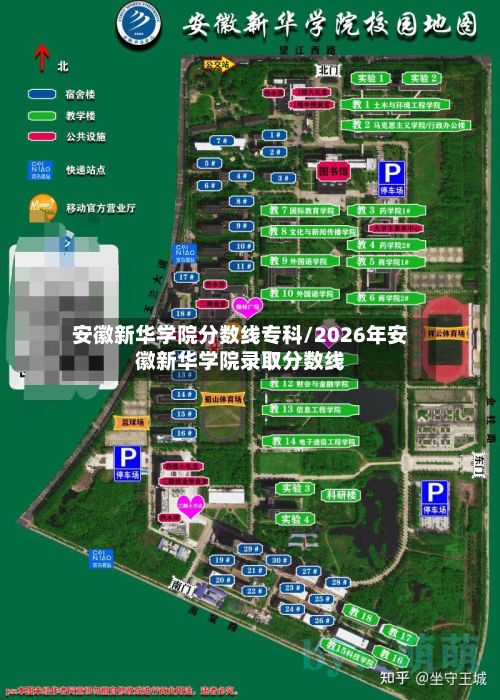 安徽新华学院分数线专科/2026年安徽新华学院录取分数线-第2张图片