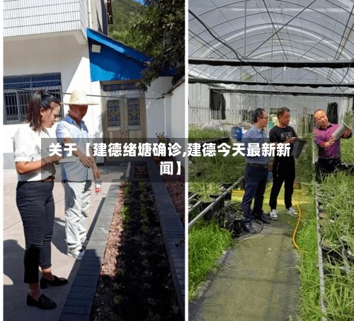 关于【建德绪塘确诊,建德今天最新新闻】-第2张图片
