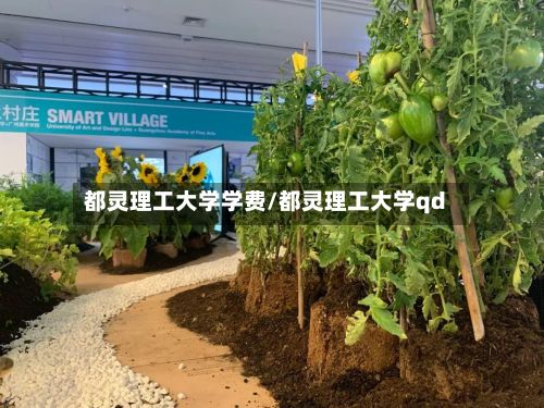 都灵理工大学学费/都灵理工大学qd-第2张图片
