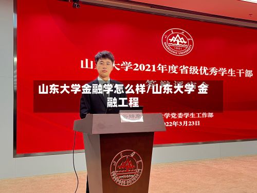 山东大学金融学怎么样/山东大学 金融工程-第2张图片