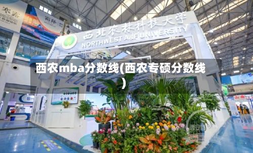 西农mba分数线(西农专硕分数线)