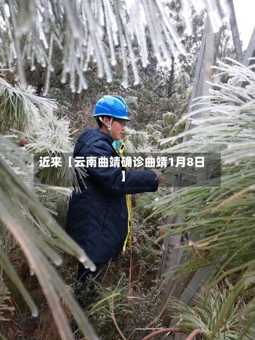 近来【云南曲靖确诊曲靖1月8日】-第3张图片