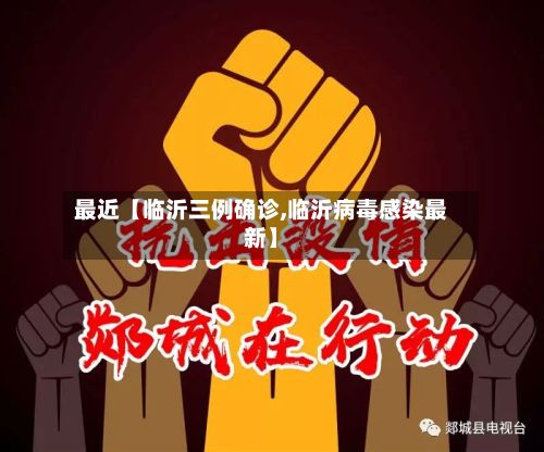 最近【临沂三例确诊,临沂病毒感染最新】-第3张图片