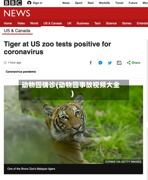 动物园确诊(动物园事故视频大全)