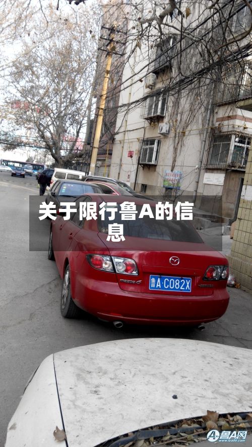 关于限行鲁A的信息