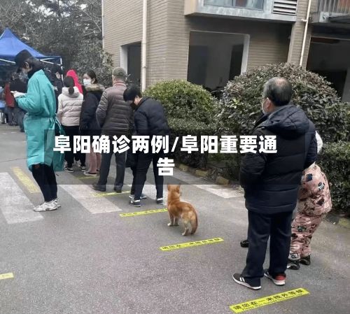 阜阳确诊两例/阜阳重要通告
