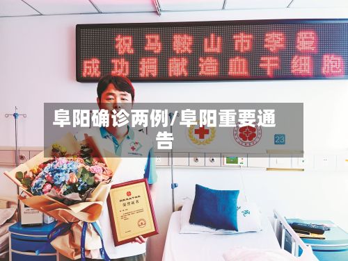 阜阳确诊两例/阜阳重要通告-第2张图片