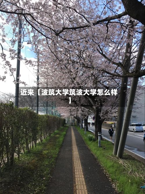 近来【波筑大学筑波大学怎么样】