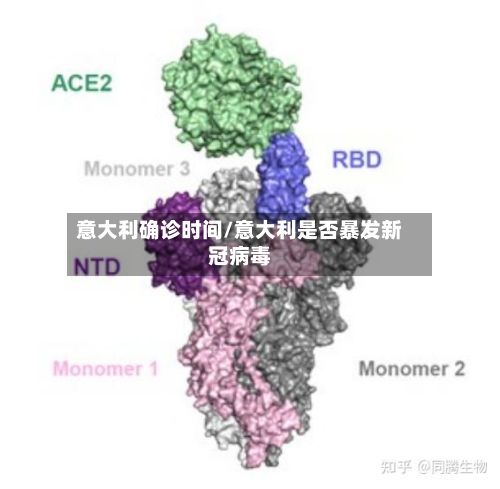 意大利确诊时间/意大利是否暴发新冠病毒-第2张图片
