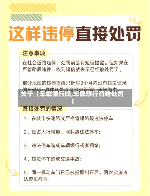 关于【车载限行牌,车牌限行有啥处罚】-第3张图片