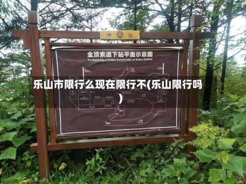 乐山市限行么现在限行不(乐山限行吗)