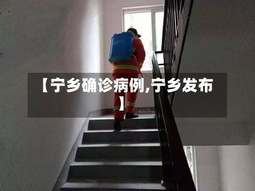 【宁乡确诊病例,宁乡发布】-第2张图片