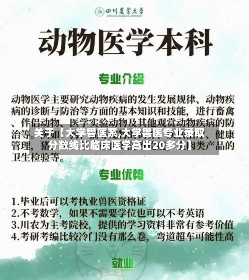 关于【大学兽医系,大学兽医专业录取分数线比临床医学高出20多分】-第2张图片