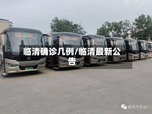 临清确诊几例/临清最新公告-第3张图片