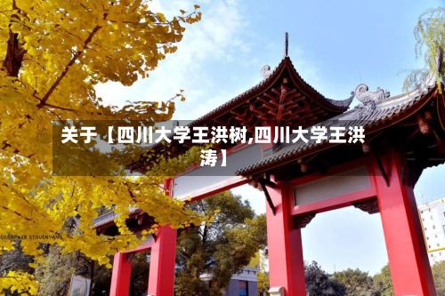 关于【四川大学王洪树,四川大学王洪涛】