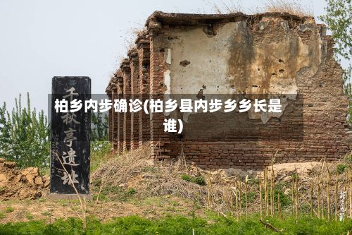 柏乡内步确诊(柏乡县内步乡乡长是谁)-第2张图片