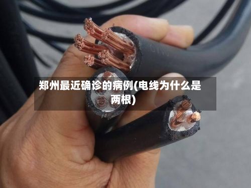 郑州最近确诊的病例(电线为什么是两根)