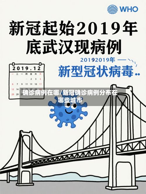 确诊病例在哪/新冠确诊病例分布在哪些城市