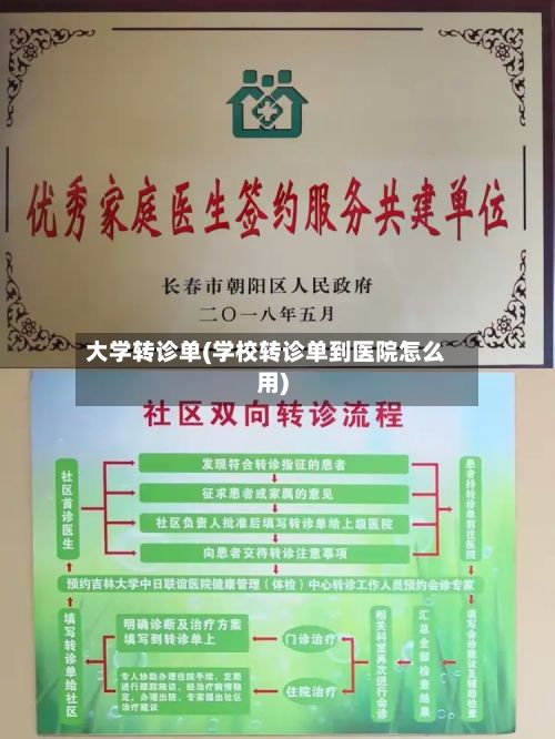 大学转诊单(学校转诊单到医院怎么用)