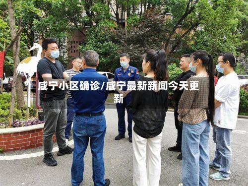 咸宁小区确诊/咸宁最新新闻今天更新-第2张图片