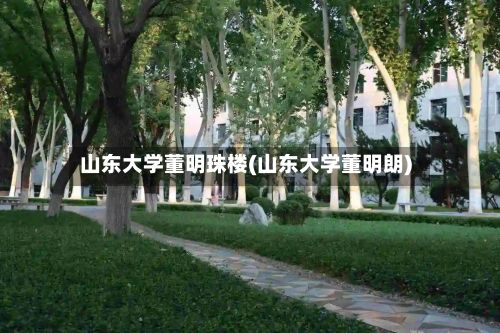 山东大学董明珠楼(山东大学董明朗)-第2张图片