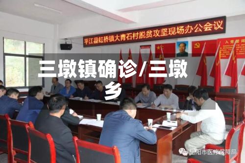三墩镇确诊/三墩乡