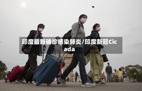 印度最新确诊感染肺炎/印度新冠Cicada