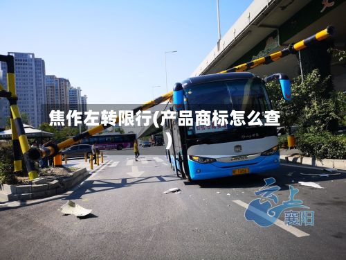 焦作左转限行(产品商标怎么查)