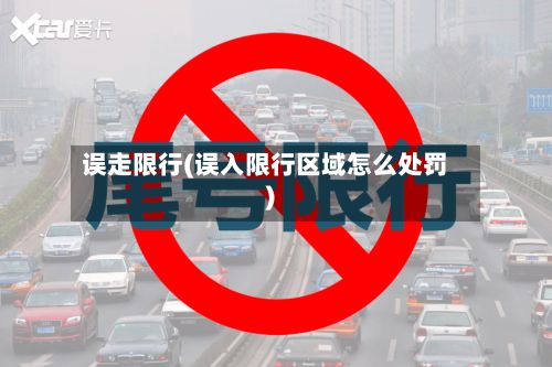 误走限行(误入限行区域怎么处罚)
