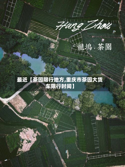 最近【茶园限行地方,重庆市茶园大货车限行时间】