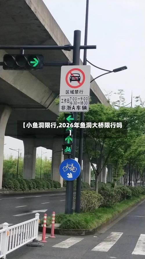 【小鱼洞限行,2026年鱼洞大桥限行吗】-第1张图片