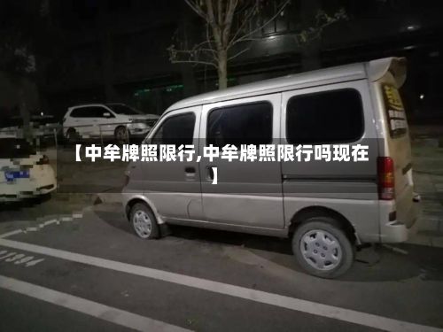 【中牟牌照限行,中牟牌照限行吗现在】-第1张图片