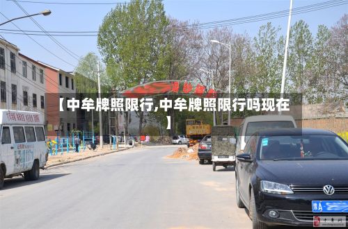 【中牟牌照限行,中牟牌照限行吗现在】-第2张图片