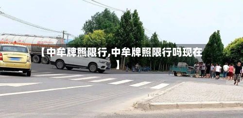 【中牟牌照限行,中牟牌照限行吗现在】-第3张图片