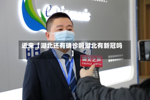 近来【湖北还有确诊吗湖北有新冠吗】-第2张图片