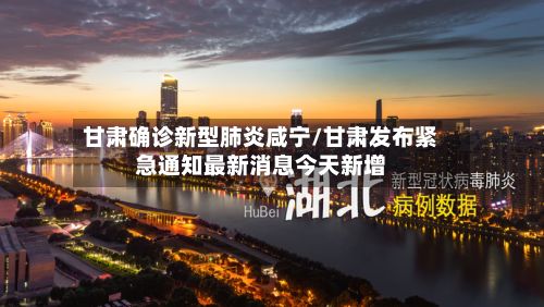 甘肃确诊新型肺炎咸宁/甘肃发布紧急通知最新消息今天新增-第2张图片