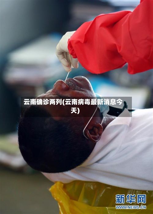 云南确诊两列(云南病毒最新消息今天)-第2张图片