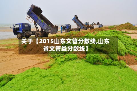 关于【2015山东文管分数线,山东省文管类分数线】