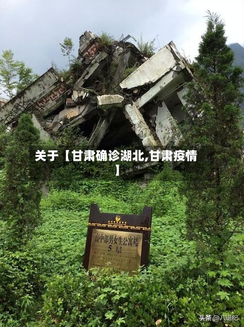 关于【甘肃确诊湖北,甘肃疫情】-第2张图片